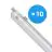 Multipack 10x Philips Réglette LED Étanche CoreLine WT120C G2 42.9W 6000lm - 840 Blanc Froid | 150cm 