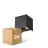 Multipack 2x D'Lite Applique Murale Elingen Aluminium Noir Up & Down 4.9W 480lm - 830 Blanc Chaud | IP65 - Détecteur De Lumière