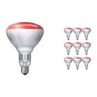 Multipack 10x Philips BR125 IR 250W E27 230-250V Rouge