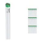Multipack 25x Philips MASTER TL-D Actinic BL 18W - Ultra-Violet | 60cm