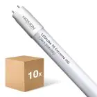 Multipack 10x Noxion Tube LED T8 Avant (EM/Direct 230V) Standard Output 15W 1800lm - 830 Blanc Chaud | 120cm - Équivalent 36W