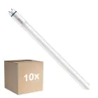 Multipack 10x Philips Master Tube LED T8 (EM/Direct 230V) High Output T8 7.6W 1150lm - 840 Blanc Froid | 60cm - Équivalent 18W