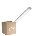 Multipack 12x Philips LED Waterdichte Montagebalk WT060C 30W 3600lm - 865 Daglicht | 120cm