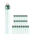 Multipack 25x Philips T5 Short 8W - 640 Koel Wit | 29cm